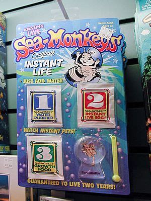 Sea-Monkeys Facts for Kids