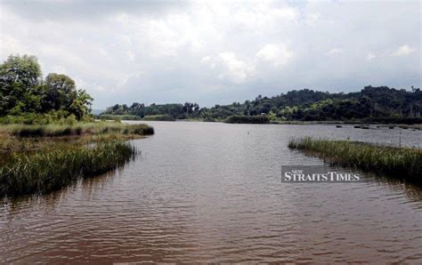 Newly-established Pahang Biodiversity Council to help preserve Tasik Chini, says Pahang exco ...