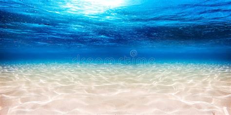 419,223 Underwater Ocean Stock Photos - Free & Royalty-Free Stock Photos from Dreamstime