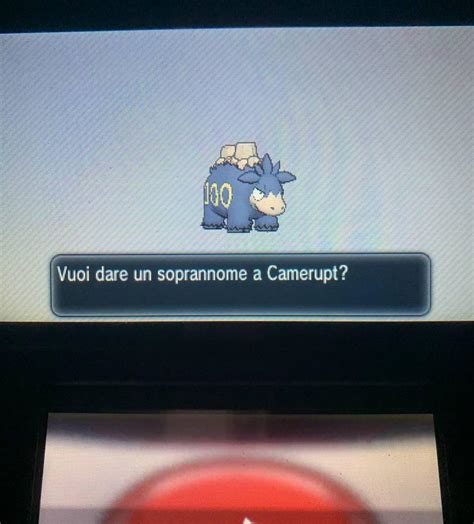 [Gen 6] 🐫🫡 : r/ShinyPokemon