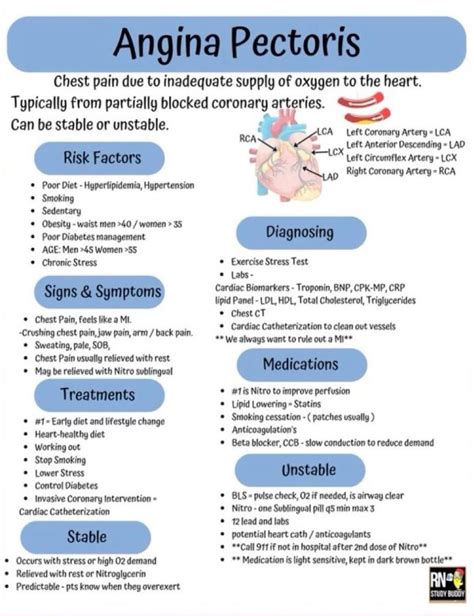 Understanding Angina Symptoms Causes And Treatments Helal Medical ...