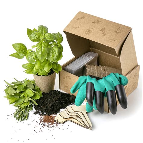 Herb Seed Growing Kit - Complete Seed Box and Grow Set - 12 Seeds ...