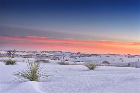 Landscapes of White Sand Dunes in New Mexico in the United States