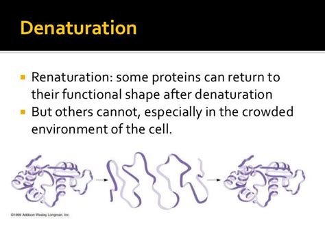 Protein structure