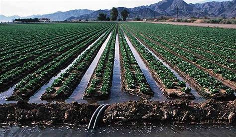 Types of Irrigation - Civil Engineering Blog