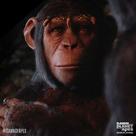 Cornelia | Planet of the apes, Dawn of the planet, Apes