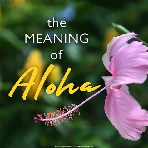 What is the Meaning of Aloha