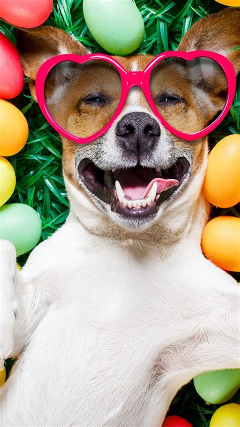 Easter Pups Wallpapers - Wallpaper Cave