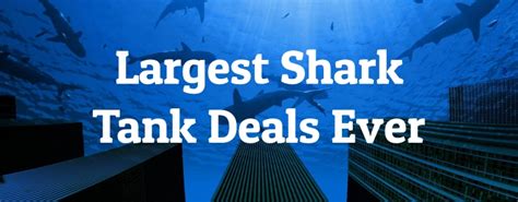 7 Largest Shark Tank Deals Ever - Largest.org