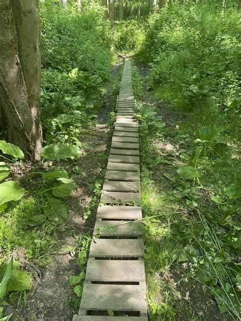 Marsh Creek Trail - Pennsylvania | AllTrails