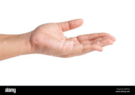 hold out one's hand and open the palm of the hand isolated on white ...