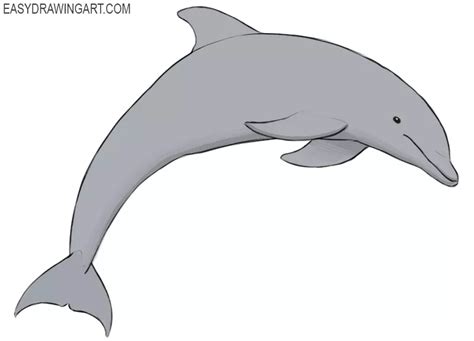 How to Draw a Dolphin - Easy Drawing Art