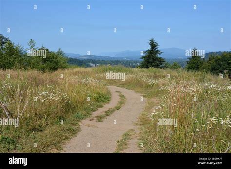 Walking paths at the top of Powell Butte Nature Park, Portland, Oregon, USA. Powell Butte is an ...