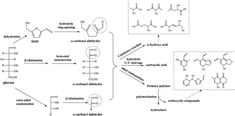 Proposed routes of conversion of glucose into various compounds ...