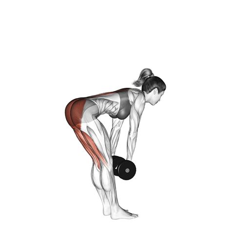 Hamstring Exercises With Weights