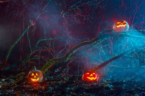 Premium Photo | Halloween pumpkins in night forest