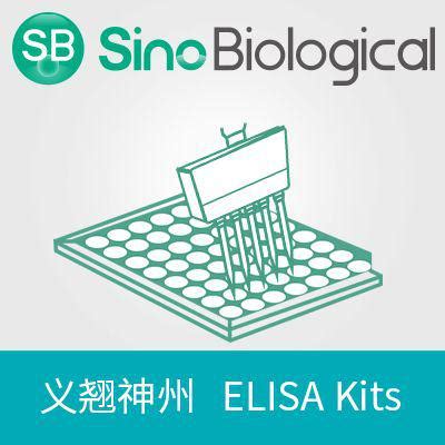 Human TNF-beta/TNFSF1/Lymphotoxin alpha ELISA Kit价格,详情介绍-960化工网