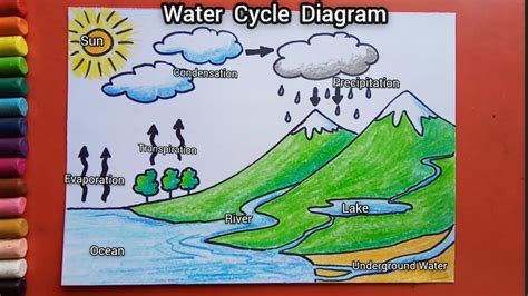 plug nose ratio draw a water cycle Out Secondly Dislocation