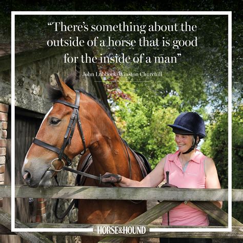 Equestrian Rider Quotes