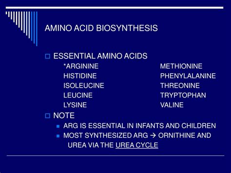 PPT - AMINO ACID BIOSYNTHESIS PowerPoint Presentation - ID:217234