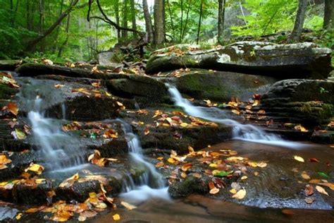 Seneca Waterfalls 4 | Waterfalls| Free Nature Pictures by ForestWander Nature Photography