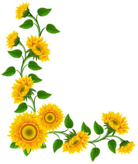 Sunflower corner png #41029 - Free Icons and PNG Backgrounds