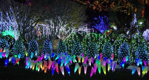 Winter Lights at NC Arboretum