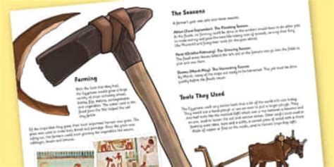 Ancient Egyptian farming | tools | history wiki - Twinkl