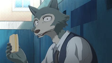 Beastars S1 E5-Legosi 3 by GiuseppeDiRosso on DeviantArt