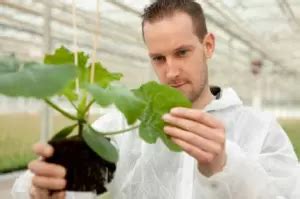 How to Become a Botanist | EnvironmentalScience.org