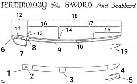 Parts of the NCO sword Flashcards | Quizlet