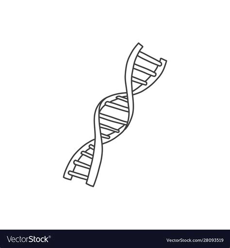 Informative poster dna helix sketch hand drawn Vector Image