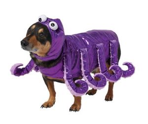 13 Best Dog Halloween Costumes | Dogsrecommend