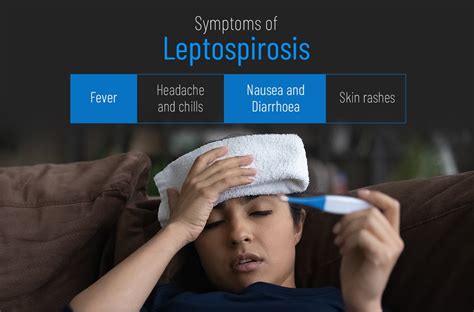 Symptoms of leptospirosis