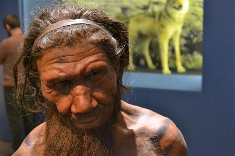 Your Neanderthal DNA might actually be doing you some good | Nation and ...