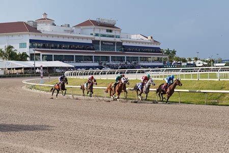 Gulfstream Park Racing Calendar 2024 - Brana Chryste