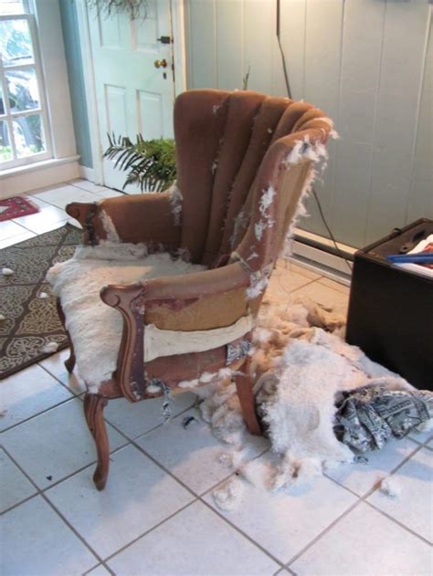 How to Re-upholster a Chair When You Have No Idea What You are Doing - Cottage and Vine ...