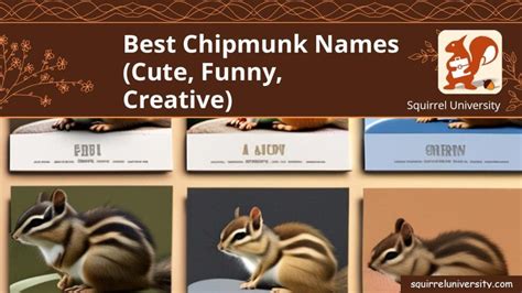 100+ Best Chipmunk Names (Girl & Boy: Cute, Funny) - Squirrel University