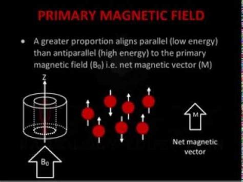 Introduction to MRI Physics - YouTube