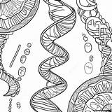 Dna Double Helix Coloring Page  Pagescom sketch template