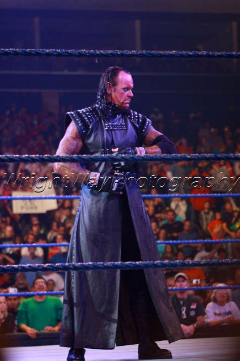 Oh my god, can we PLEASE get a 2007-2011 Undertaker Elite ...