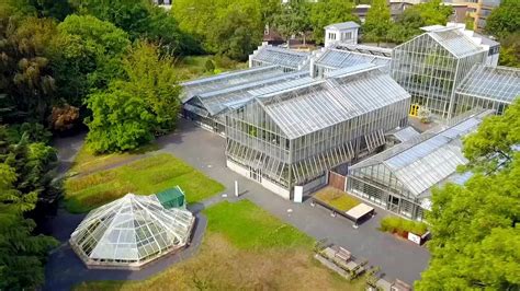 MDR Garten: Botanischer Garten Leipzig: Ort mit Geschichte | ARD Mediathek