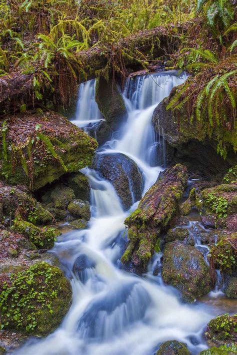 3 gorgeous waterfall hikes in the redwoods | Save the Redwoods League