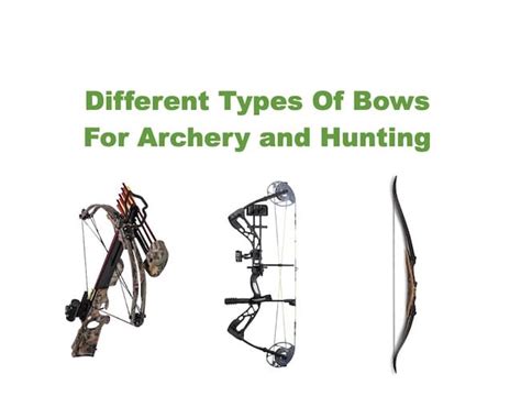 Different Types Of Bows For Archery and Hunting