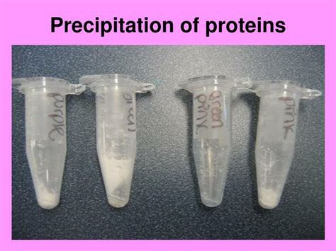 PPT - Physical-chemical properties of proteins; methods of its determination, precipitation ...