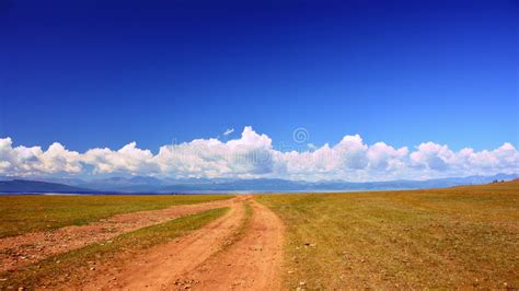 Mongolia. White Mongolian Yak Resting in a Pasture Near the Sayan Mountains Near Lake Hovsgol in ...