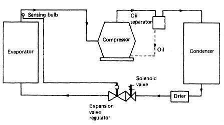 Reefer (refrigeration) Ship System, Working And Cargo, 50% OFF