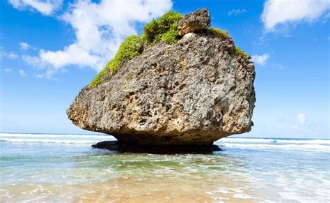 Bathsheba Beach 🇧🇧 Felsformationenen & Traumstrand - Barbados