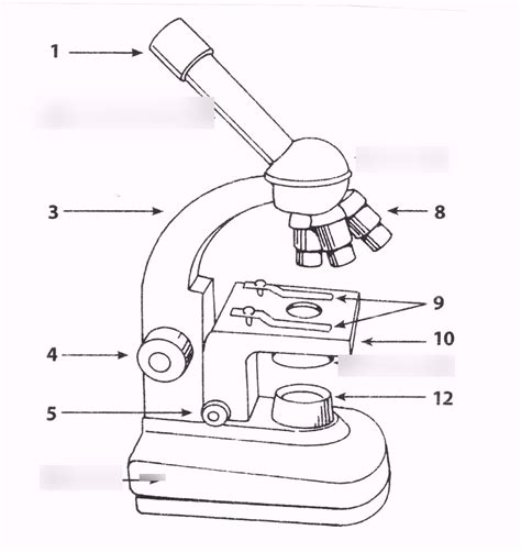 Microscope label Diagram | Quizlet