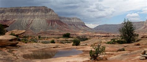 Kaibab National Forest | National Forests in Arizona